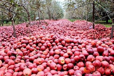 蘭州供銷系統(tǒng)首個農(nóng)產(chǎn)品展示中心正式運營，推動‘甘味’市場新發(fā)展